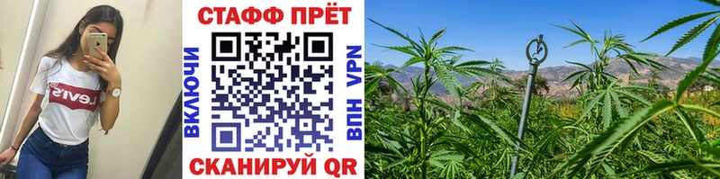Купить СОЛЬ Кокаин Гашиш LSD-25 МАРИХУАНА Меф мяу мяу Злынка